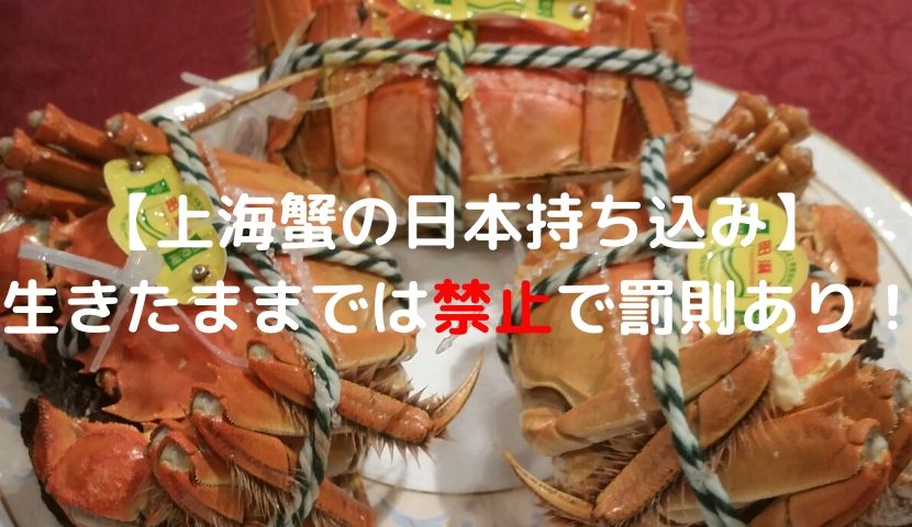 上海蟹の日本持ち込み 生きたままでは禁止で罰則あり いちこlog Asia Is Wonderful
