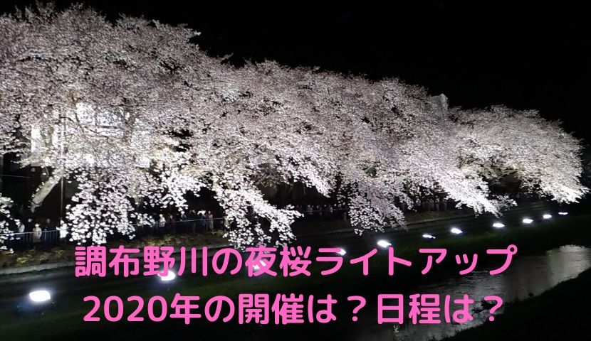調布野川の夜桜ライトアップ 年の開催は 日程は いちこlog Asia Is Wonderful